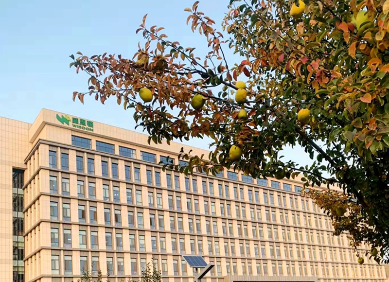 w66利来国际(中国区)官方网站